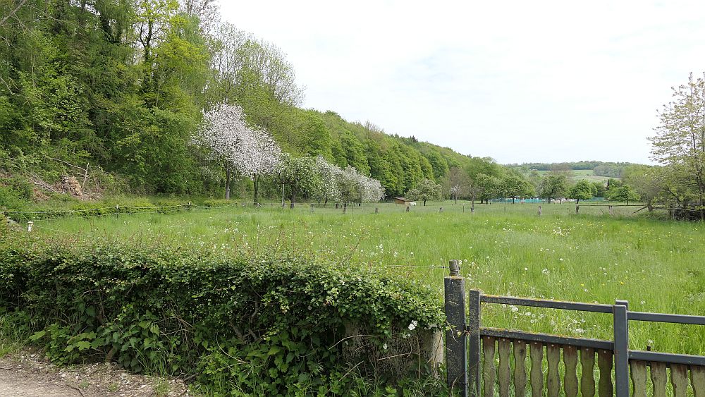 Paderborner Höhenweg