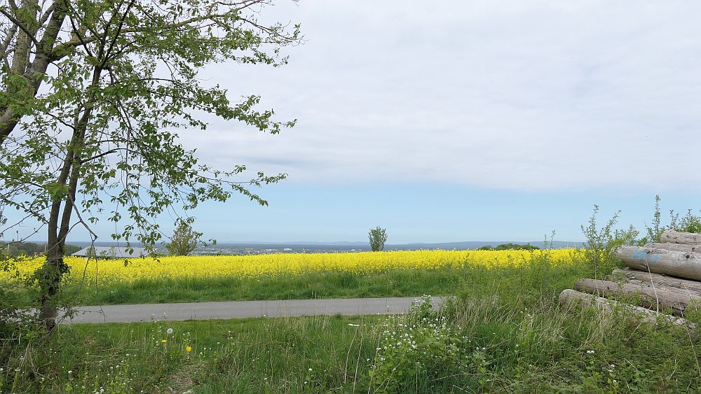 Paderborner Höhenweg