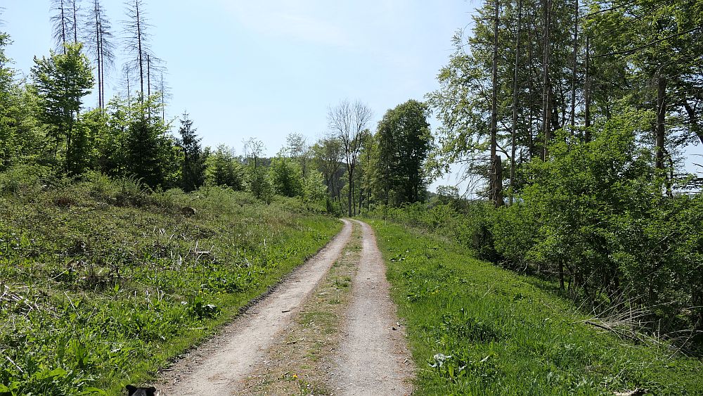 Paderborner Höhenweg