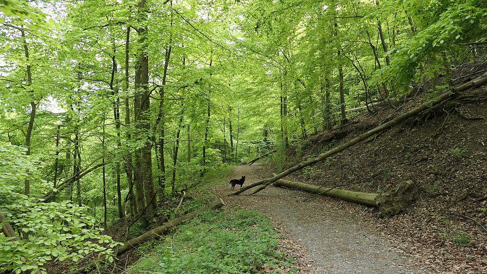 Paderborner Höhenweg