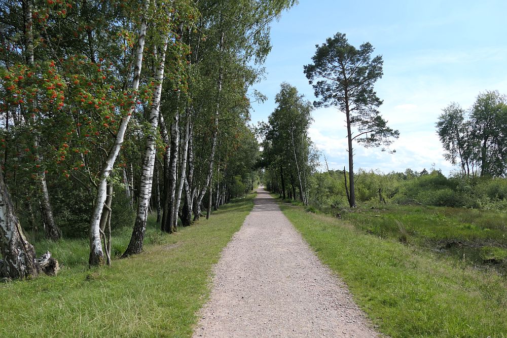 Pietzmoor