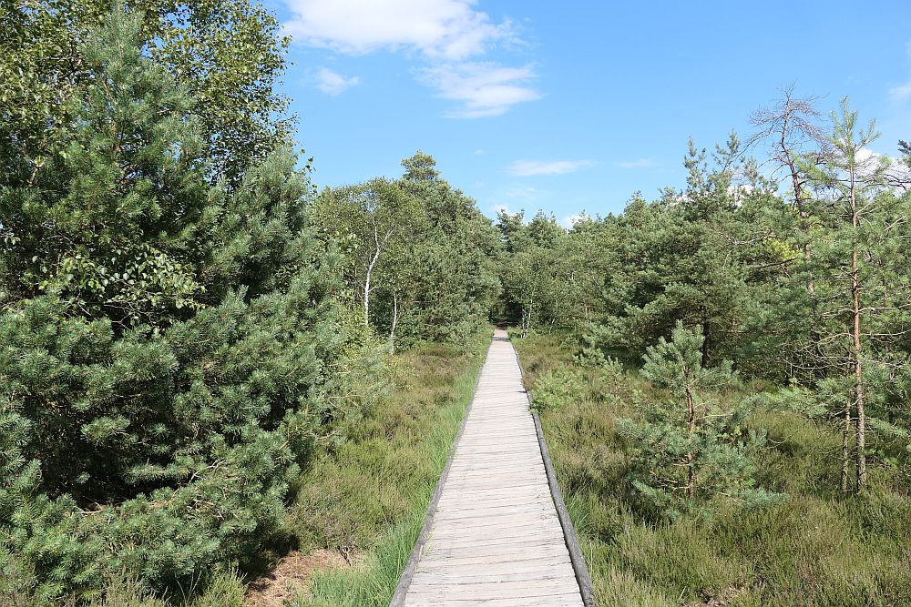 Pietzmoor