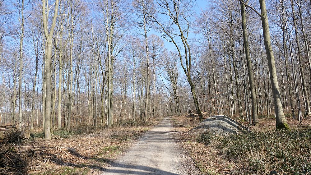 Alter Pilgerweg Paderborn