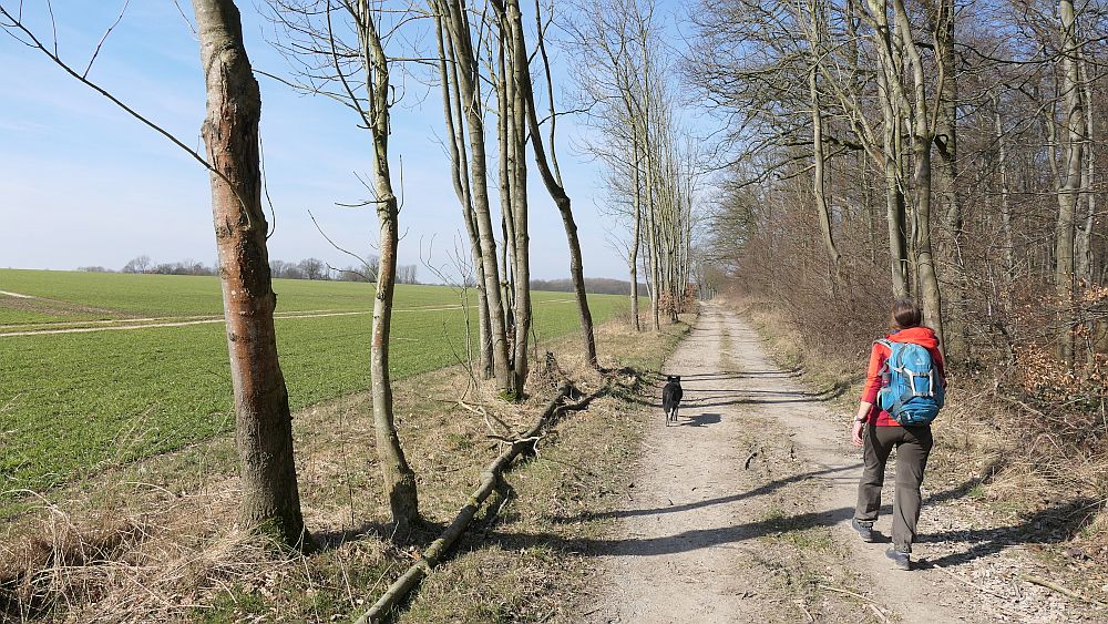 Alter Pilgerweg Paderborn