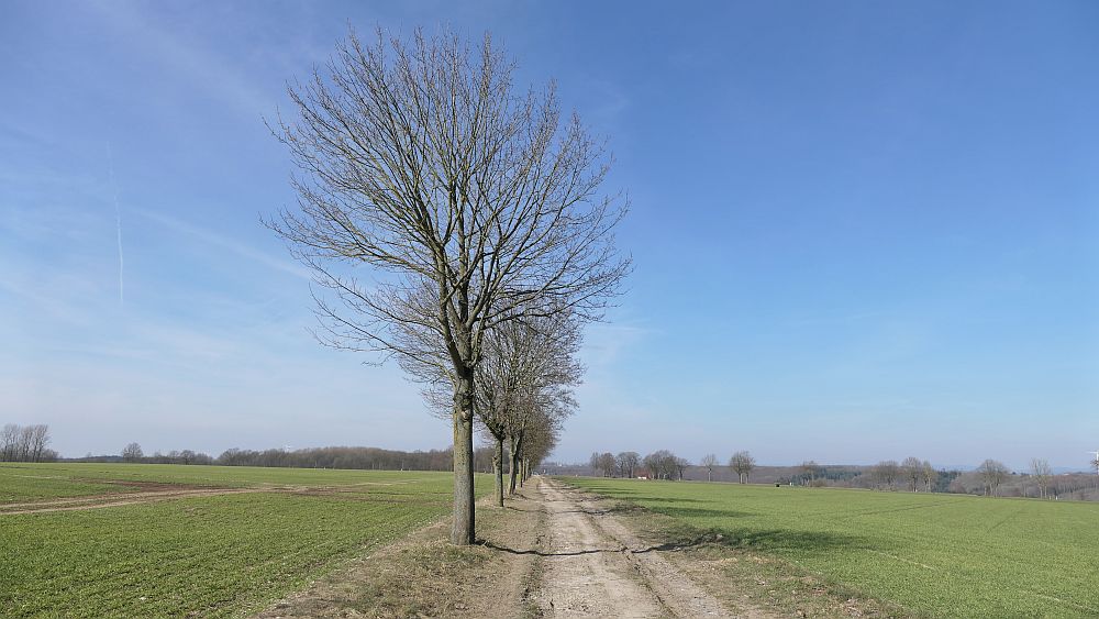 Alter Pilgerweg Paderborn