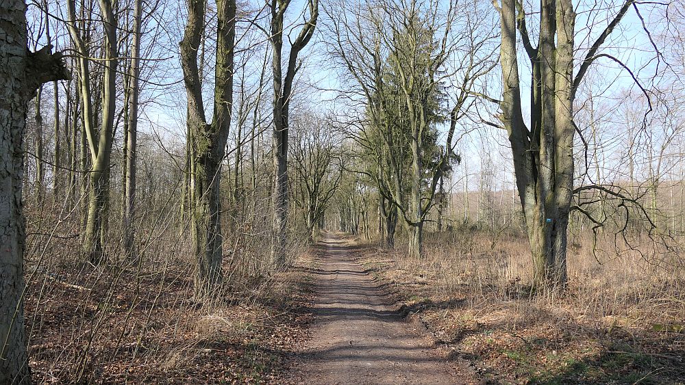 Alter Pilgerweg Paderborn