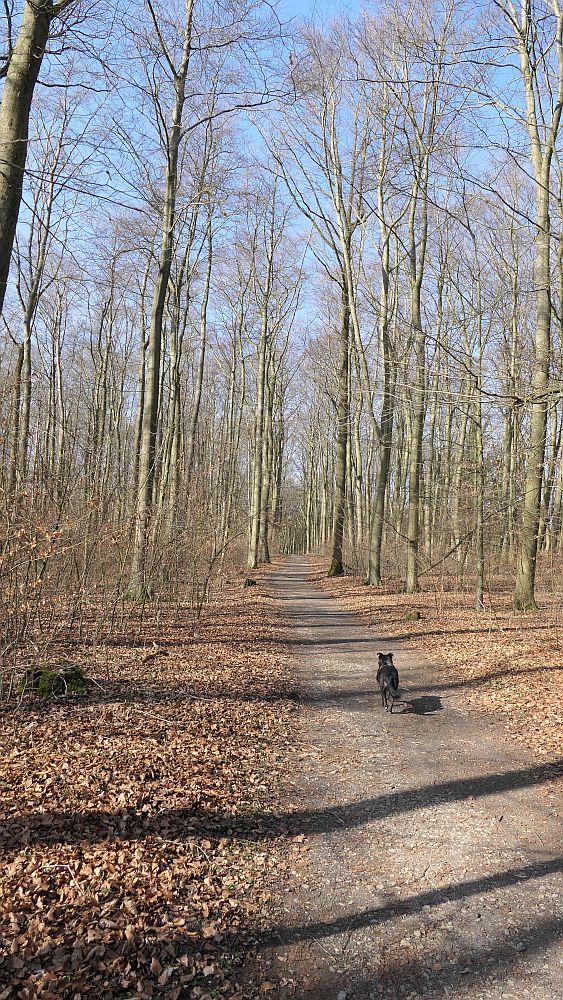 Alter Pilgerweg Paderborn