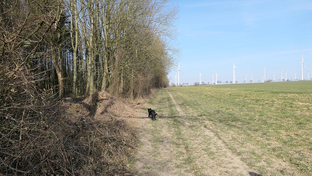 Alter Pilgerweg Paderborn