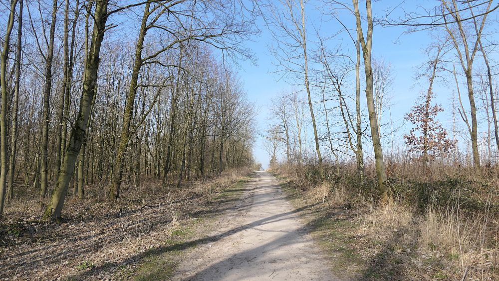 Alter Pilgerweg Paderborn
