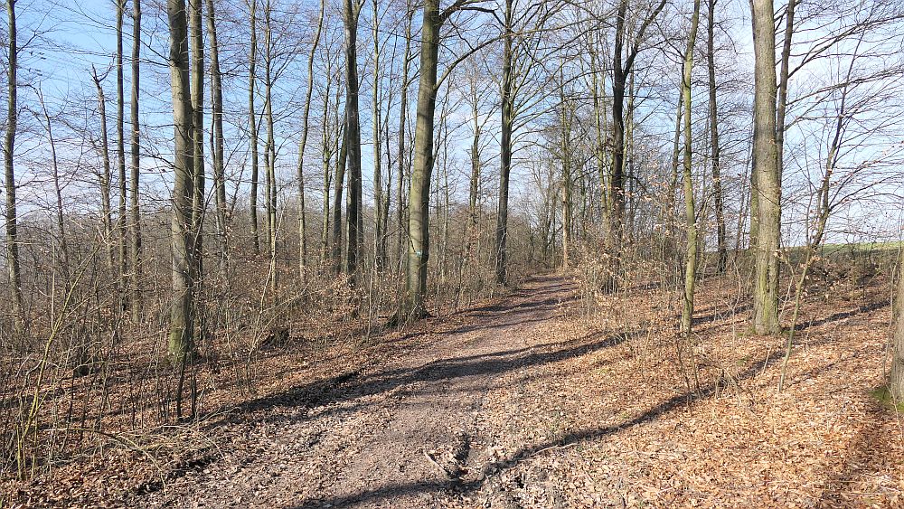 Alter Pilgerweg Paderborn