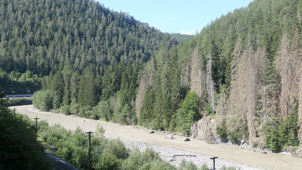 Rheinschlucht