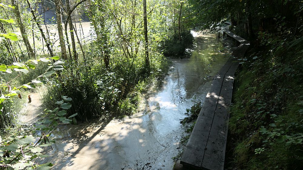 Rheinschlucht