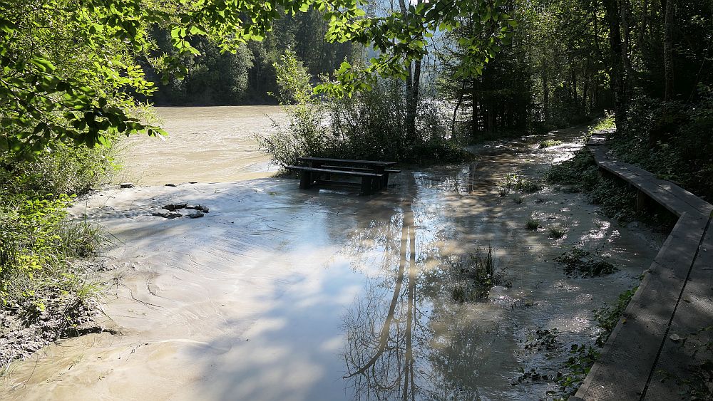 Rheinschlucht