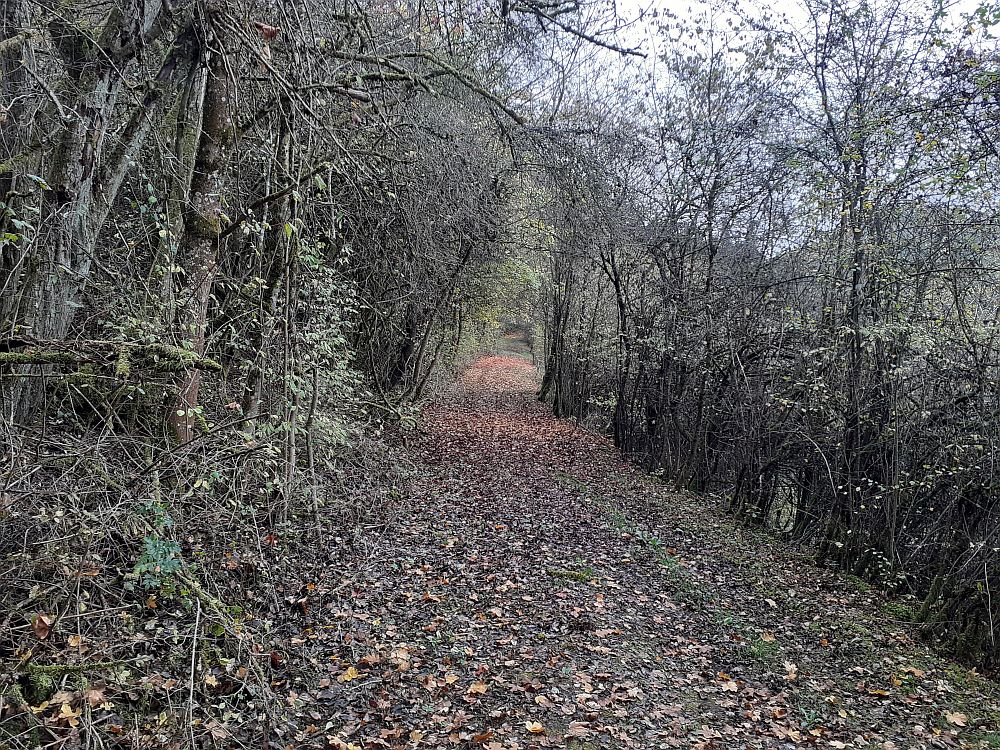 Point Alpha Weg