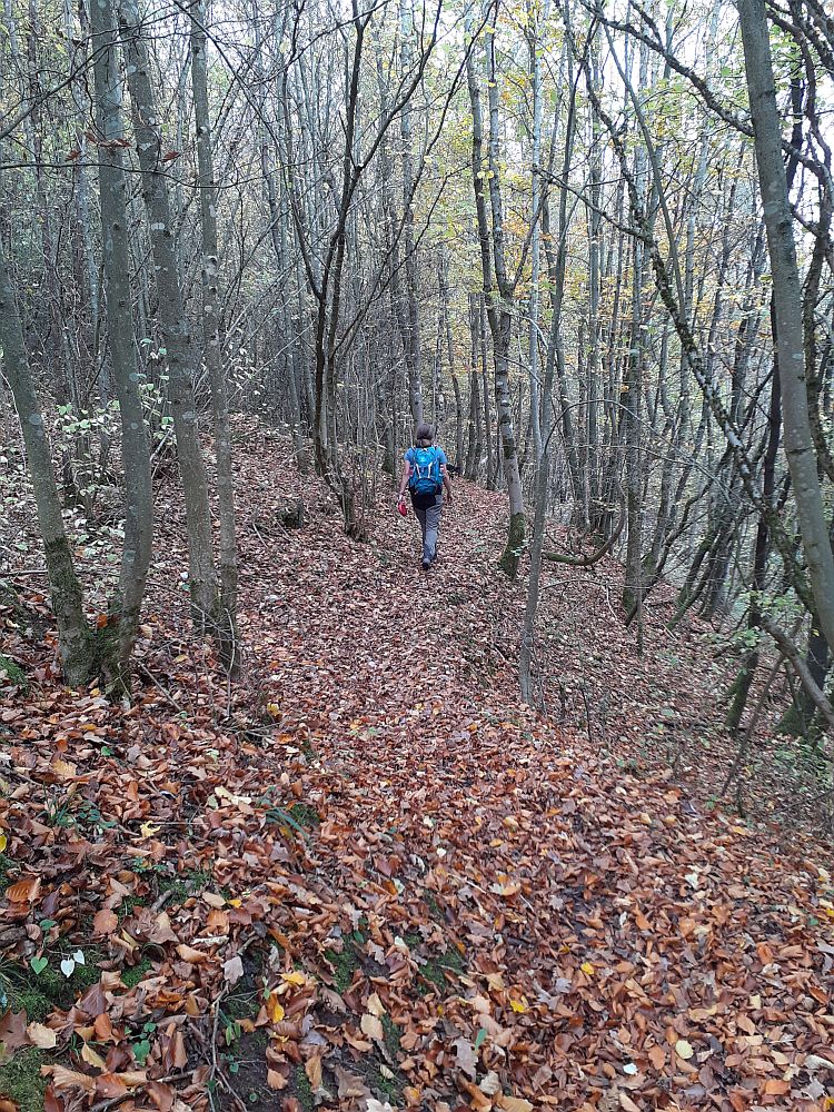 Point Alpha Weg