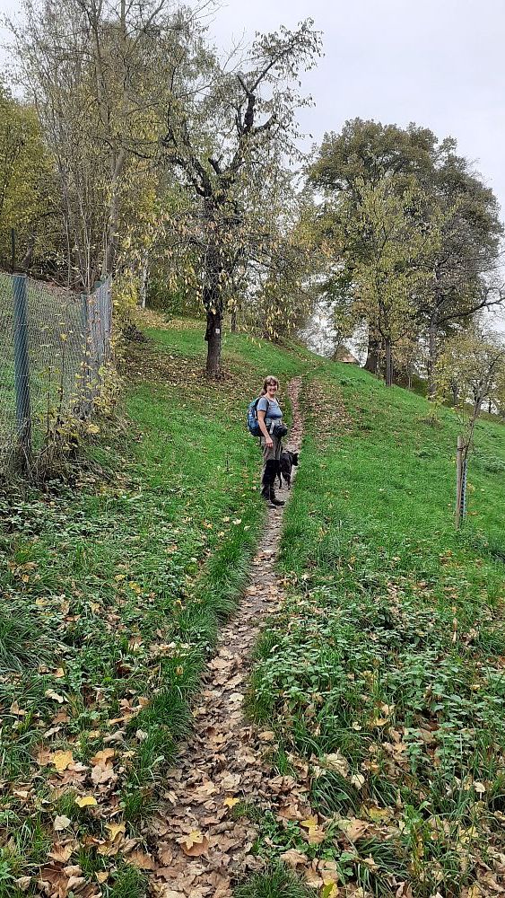 Point Alpha Weg