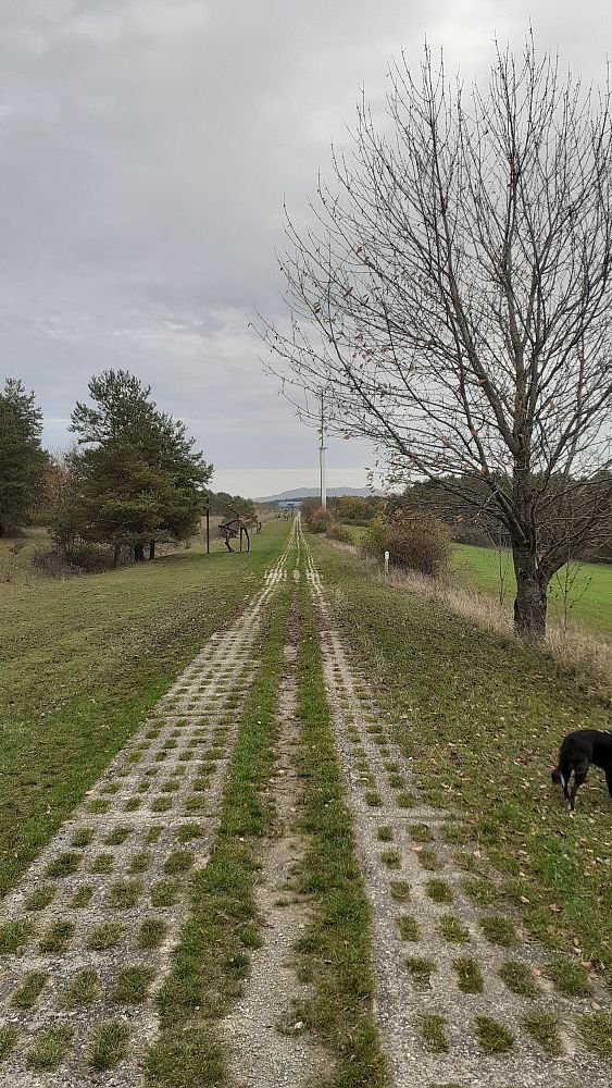Point Alpha Weg