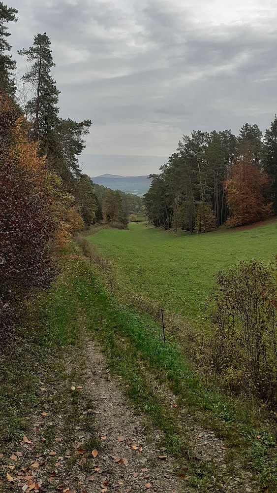 Point Alpha Weg