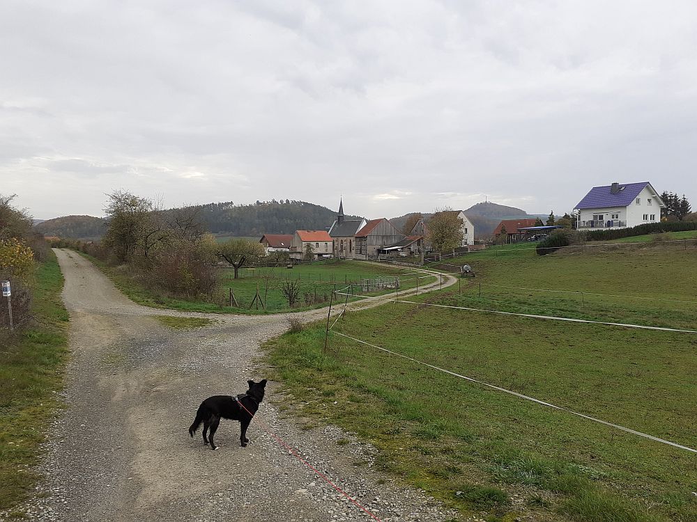 Point Alpha Weg
