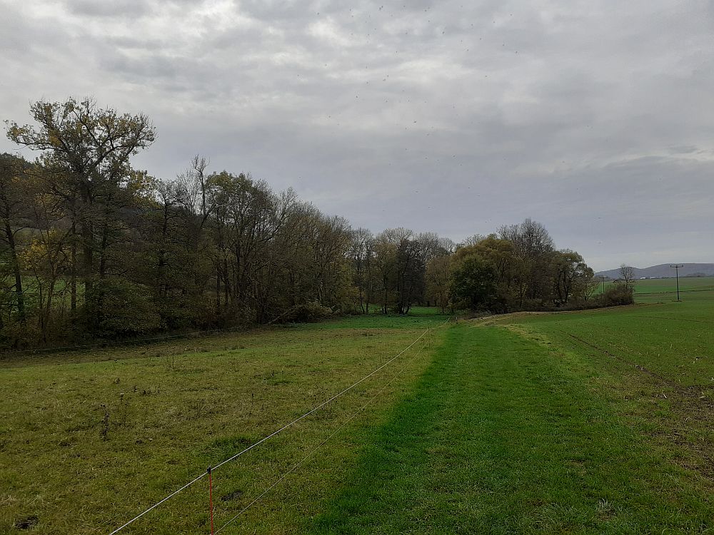 Point Alpha Weg