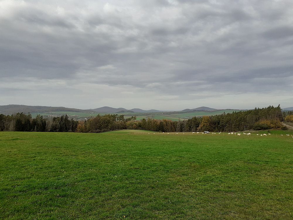 Point Alpha Weg