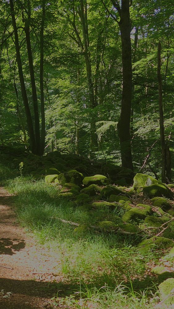 Basaltweg