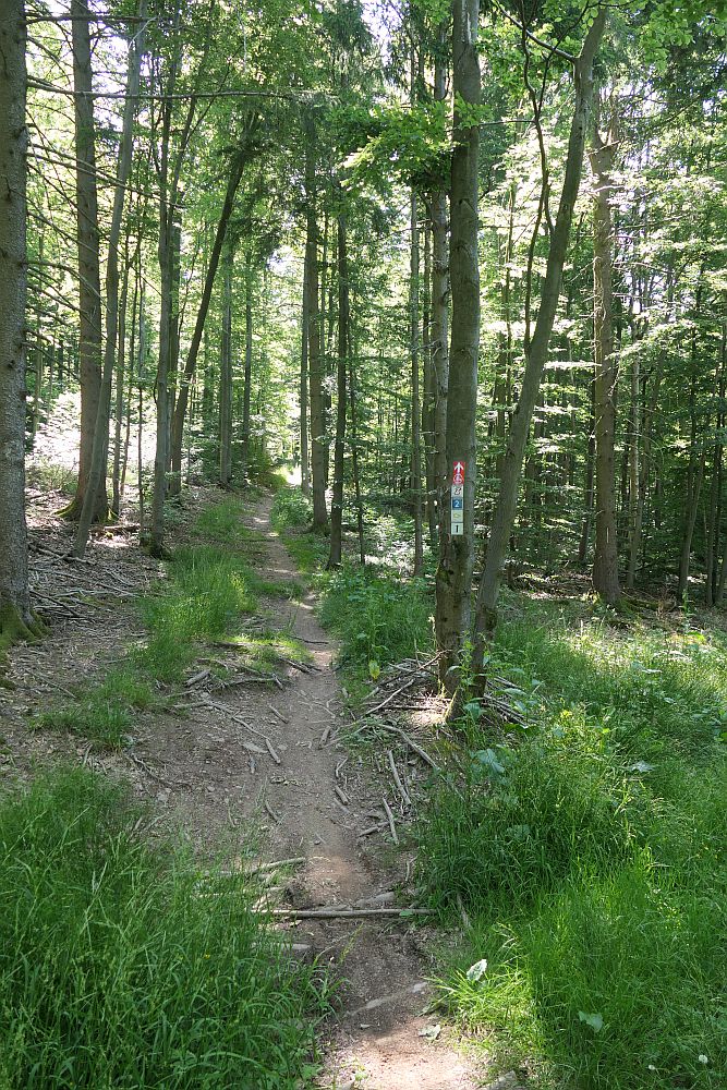 Basaltweg