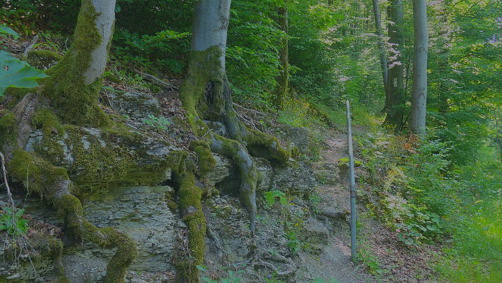 Basaltweg