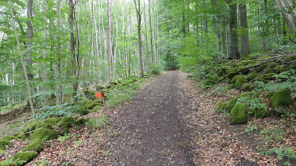 Keltenpfad