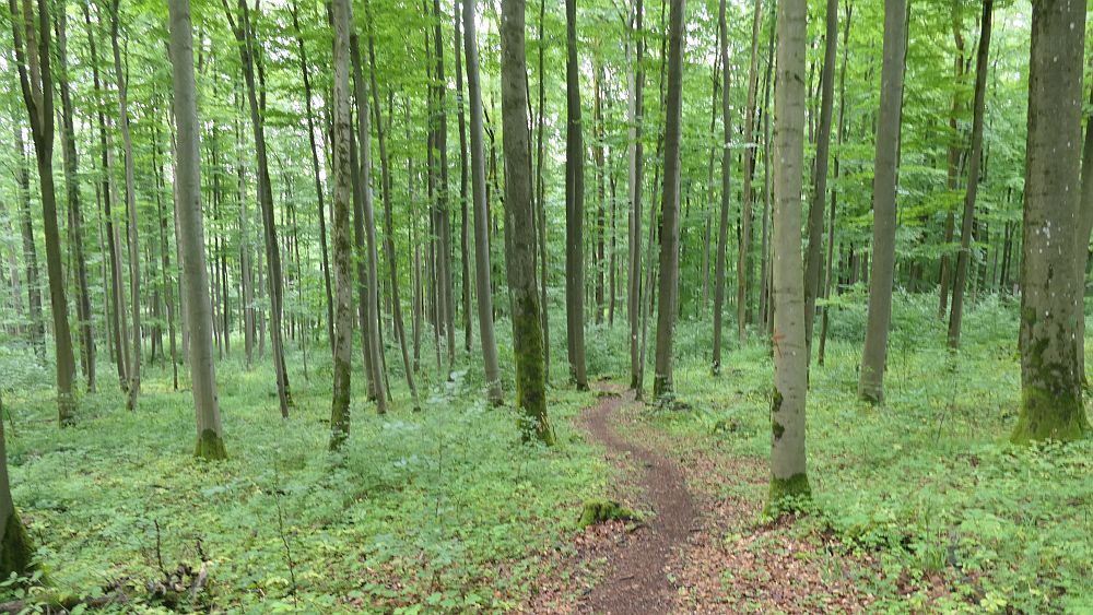 Keltenpfad
