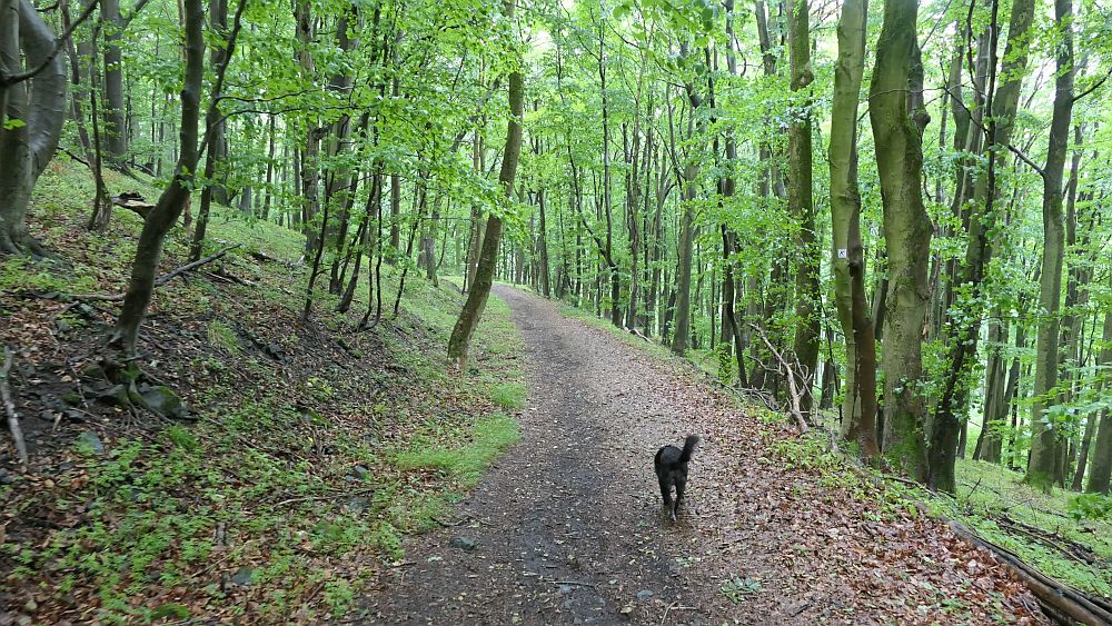 Keltenpfad