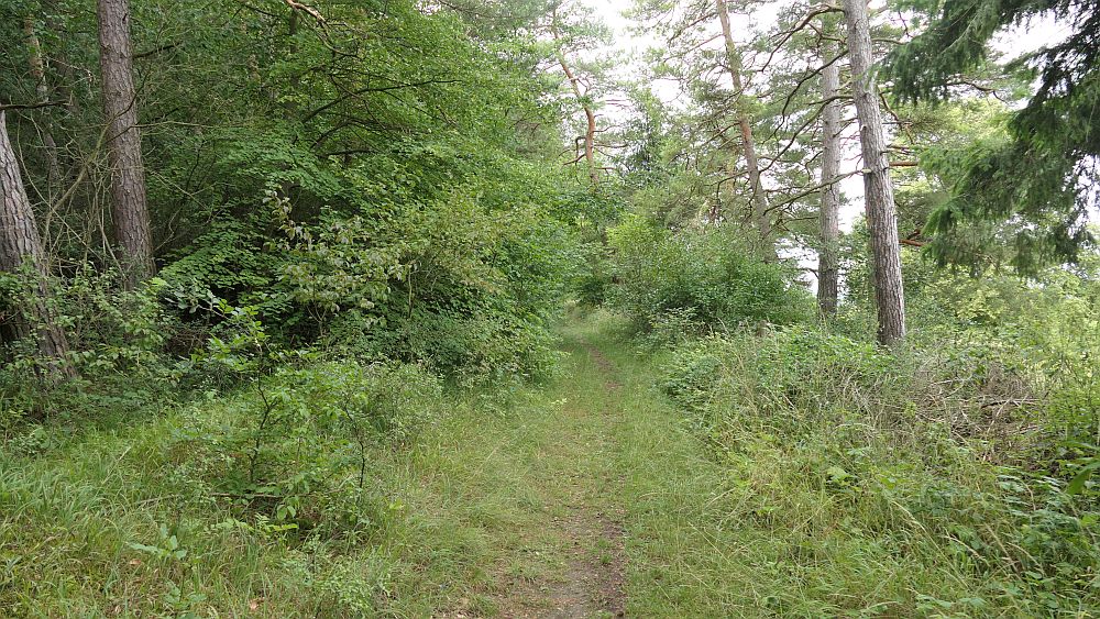 Keltenpfad