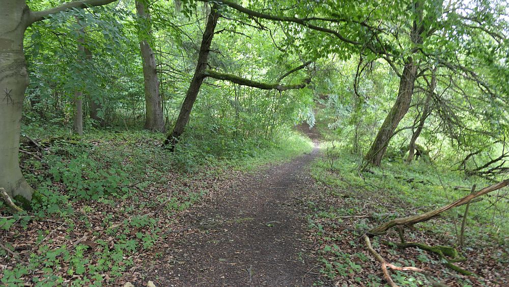 Keltenpfad