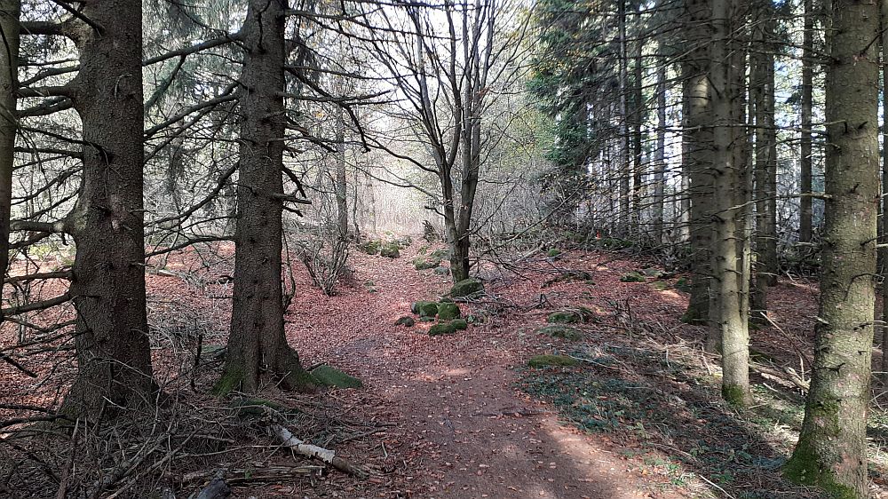 Kuppenweg