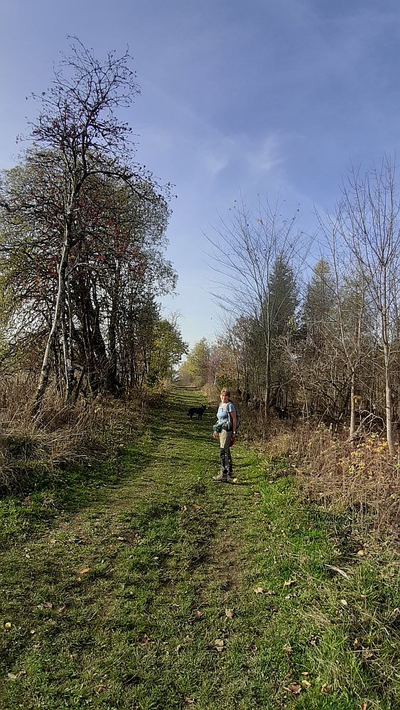 Kuppenweg