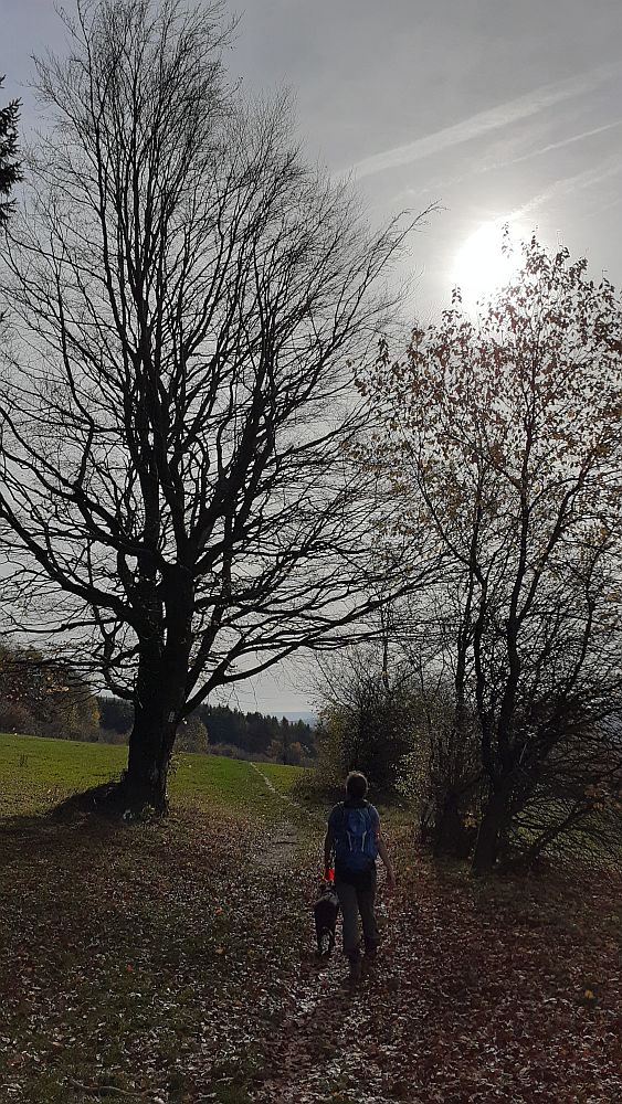 Kuppenweg