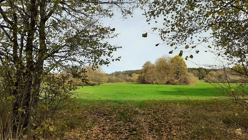 Kuppenweg