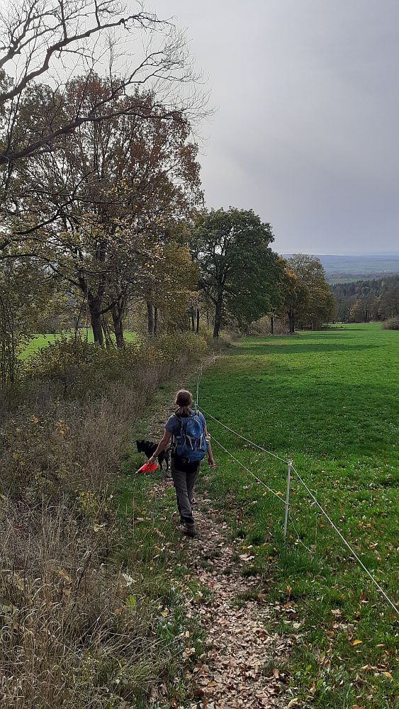 Kuppenweg