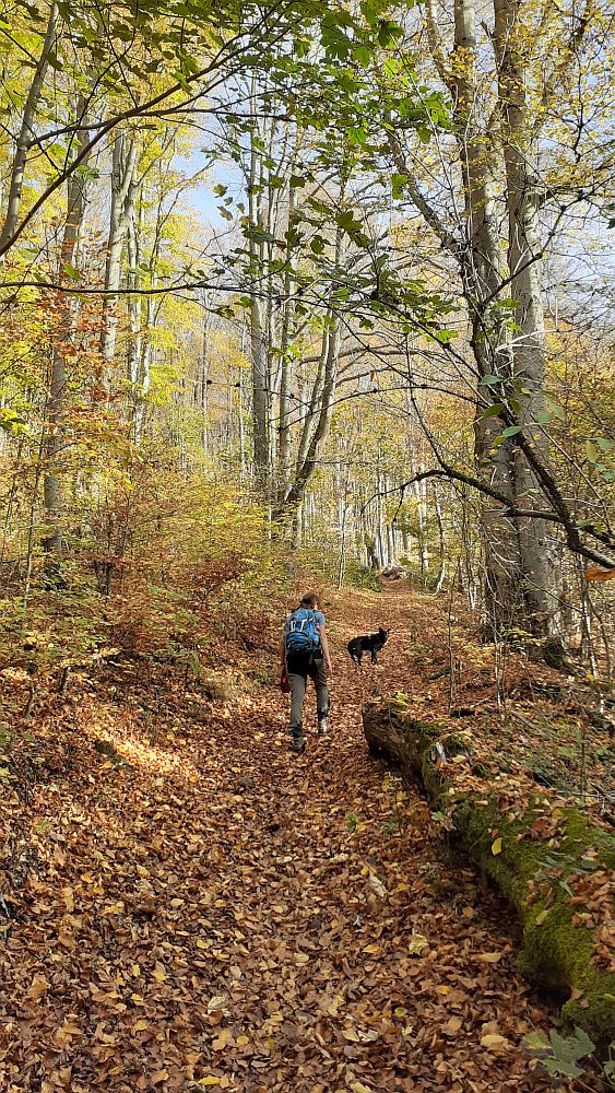 Kuppenweg