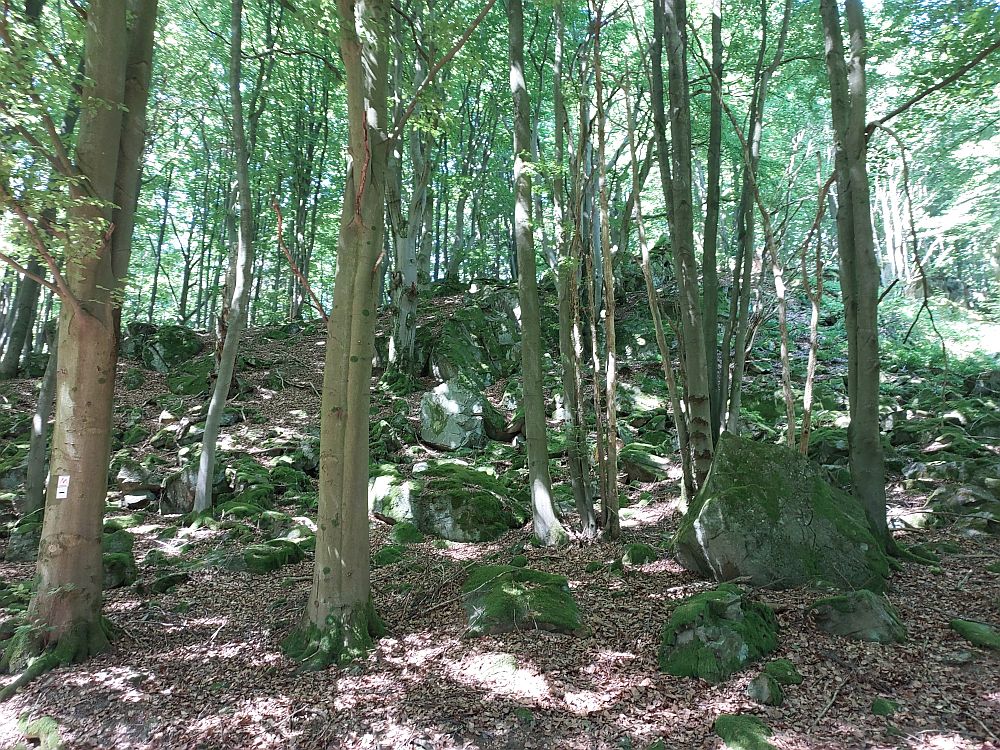 Milseburg
