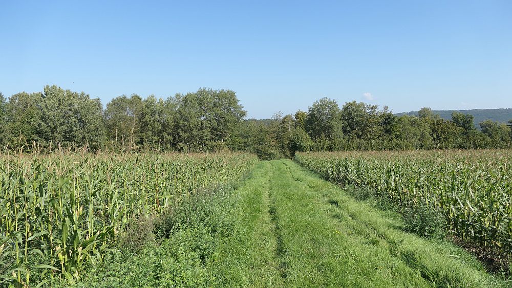 Mühlentour