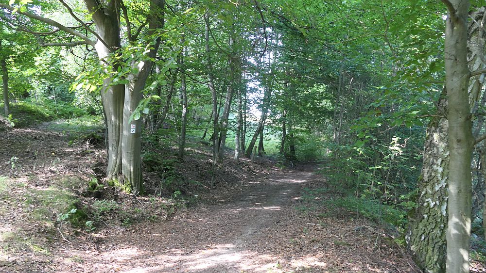 Mühlentour