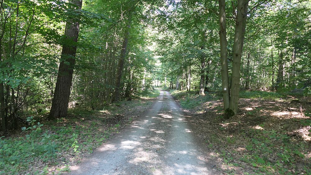 Mühlentour