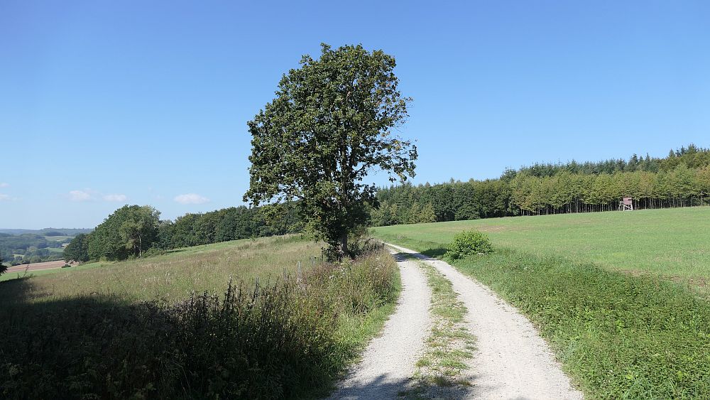 Mühlentour