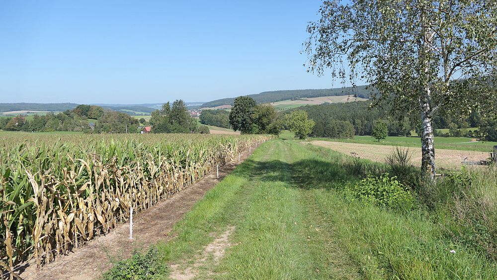 Mühlentour