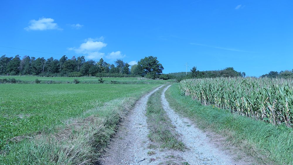 Tour de Natur