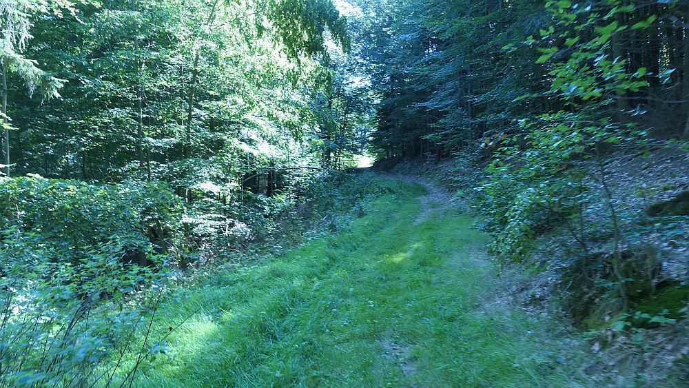 Tour de Natur