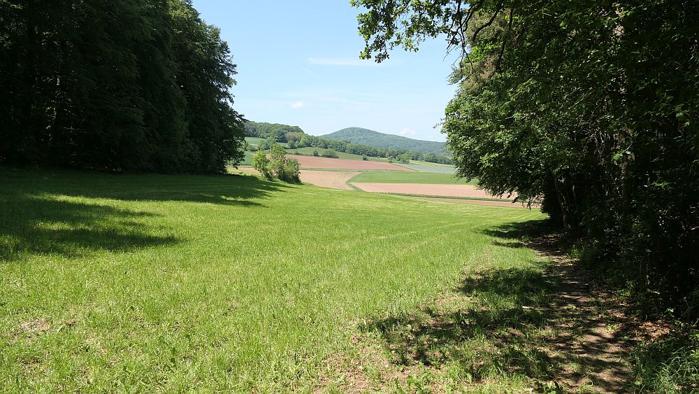 Der Rasdorfer