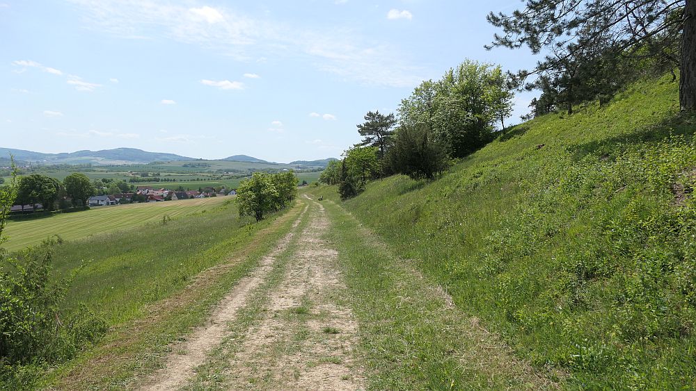 Der Rasdorfer