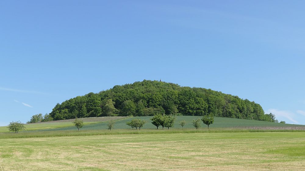 Der Rasdorfer